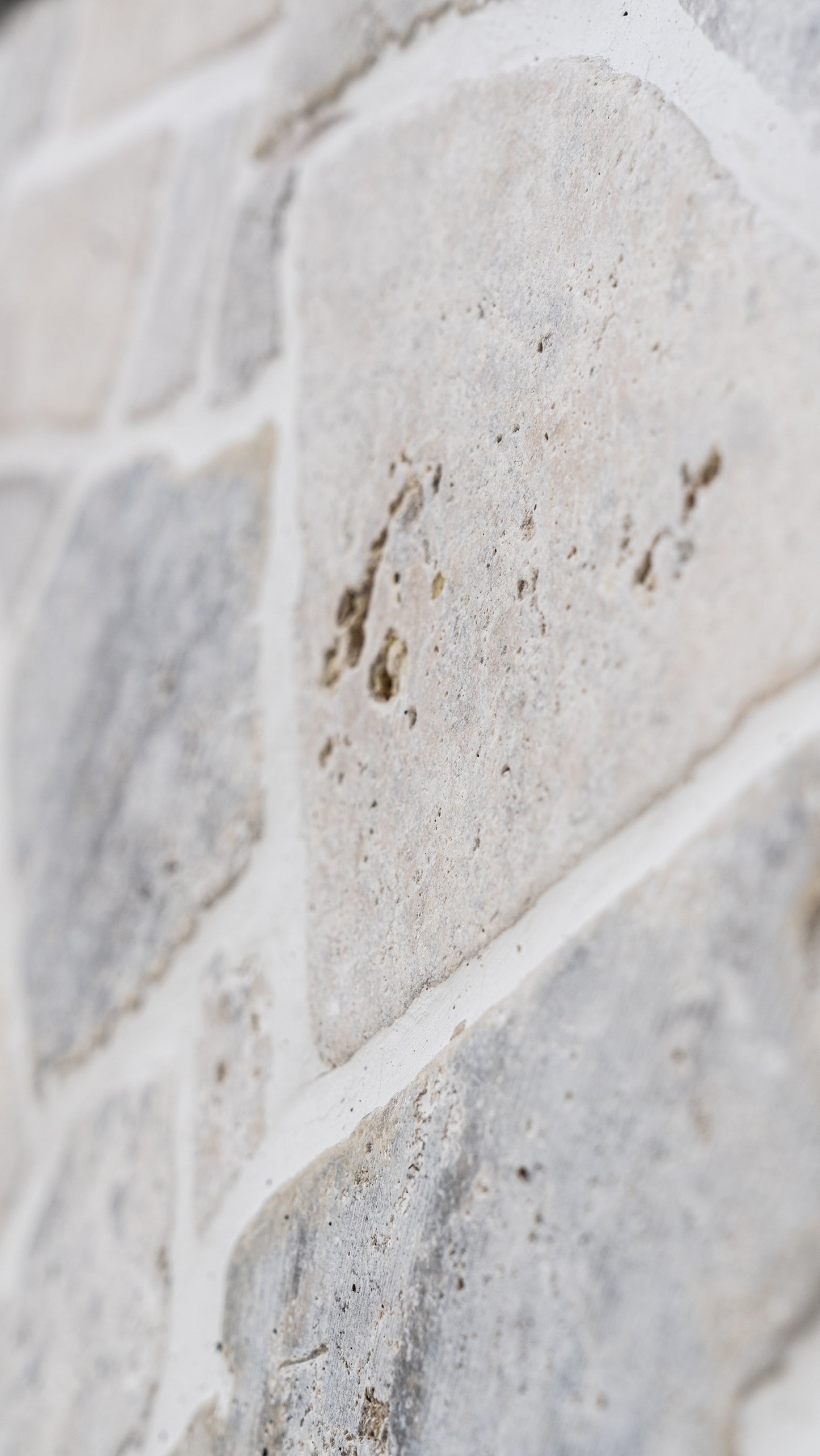 Travertine Tile & Paver - Silver