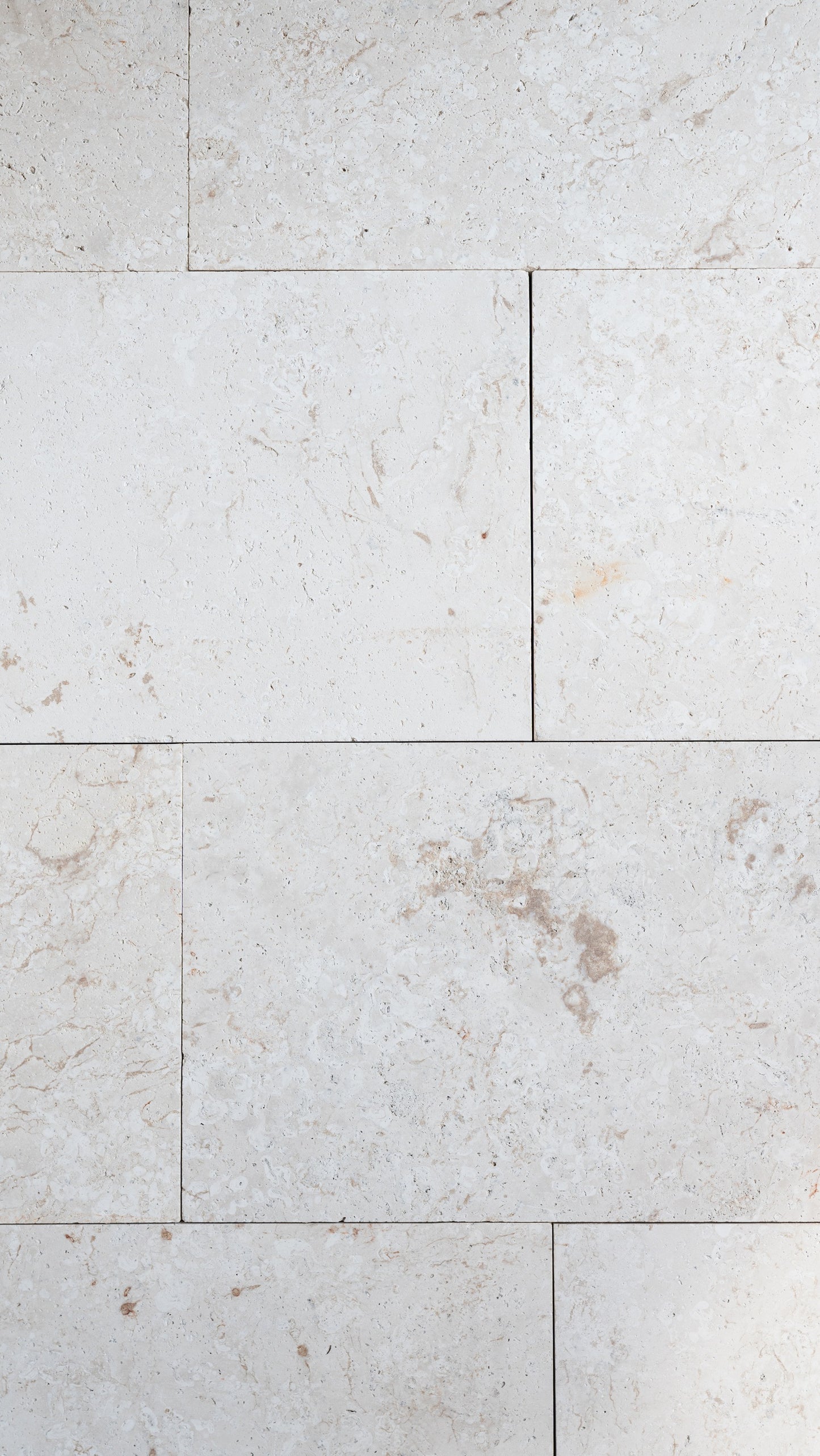 Damas Ivory Limestone Pavers